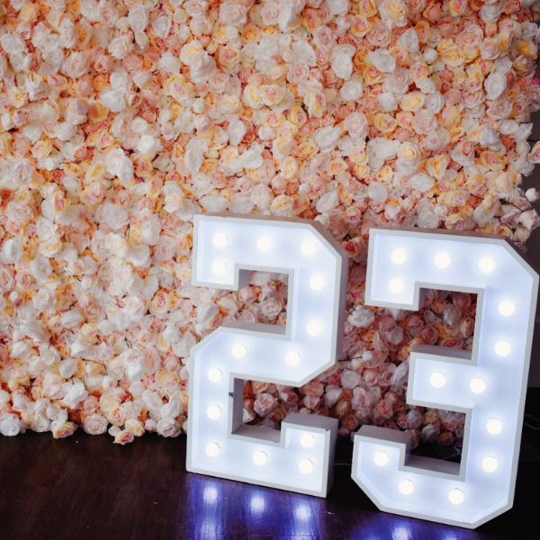 baby shower-marquee-letters.jpg
